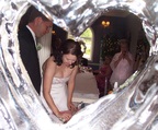 Photog gets arty and shoots thru the ice sculpture