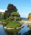 formal pond in Heritage Park, Barrie, Ontario