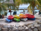  I've seen pictures on these canoes, but didn't realize they really do look this good in a photo
