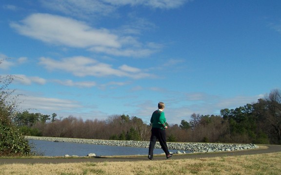 Crossing the pond's dam