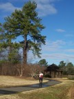  Walking from the gazebo at the pond