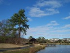  Sky, tree, gazebo, and pond at Croasdaile Farms; hardly seems like December