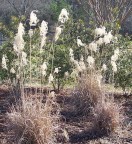  Near the pond; denizens of the 