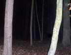  What mysteries await?