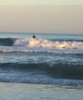  Surf's up!