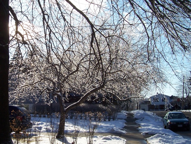  Horseheads, New York, all decked out in glittering ice