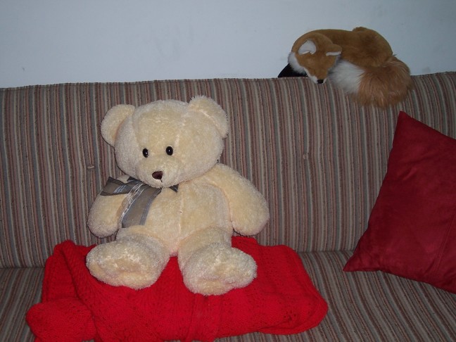  Robert's bear looks on from his perch on the sofa