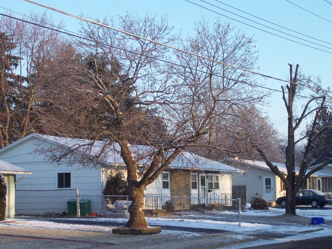  Further down the street, a house and its neightbor's tree